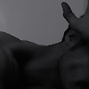 lia_25099