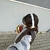 zeno_12723
