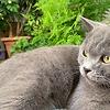 khalid_80576