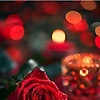 traida_26081