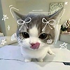 vipohio