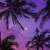 preta_51928