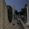 nasta_86162