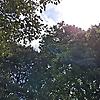 ikki_78993