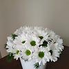 selin_75915