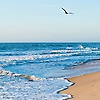 mimich_98904