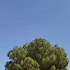 bill_74615