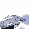 tiko_84082
