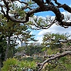 yurou_31105