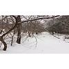 Torontomixer