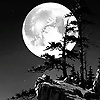 emma_90761