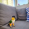 eryka_38319
