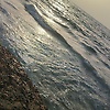 omarico_70287