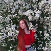 redfox93