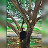 yan_65466