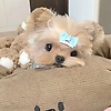 sylvia_55830