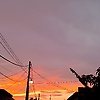 zerry_23753