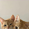 user_899204