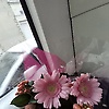 amina_93688