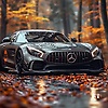 soman_72382