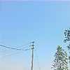 fearless_vasu