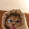 linlin_89574
