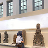 zizy_15507
