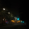 michael_26941