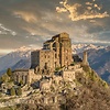 Selvatico