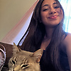 angii_16158