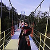 afifah_75341