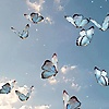 arinn_s