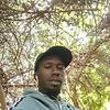 kingsol_10241