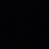 rose_93396
