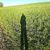 alex_14729