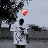 edrineshutter