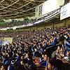 alsam_90804