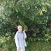 sema_61709