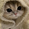 user_81540
