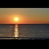 franyelis_33360