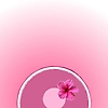 nounall_44148