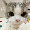 nati_76636