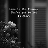 Shahwaz_85047