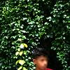 shone_85587