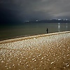 yusuf_77008
