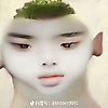 chao_95883