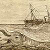 captnsquid2