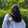 hessna_36820
