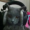 joaqun_60929