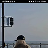 sabina_83812